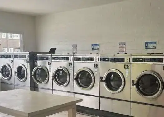 Dexter-Newport-Laundry-1